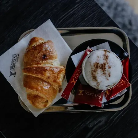 Ξενοδοχείο Fontana Νόβι Σαντ